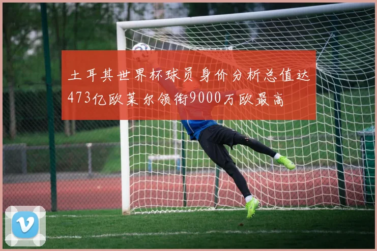 土耳其世界杯球员身价分析总值达473亿欧莱尔领衔9000万欧最高
