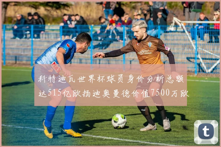 科特迪瓦世界杯球员身价分析总额达515亿欧扬迪奥曼德价值7500万欧